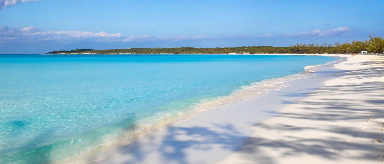 On vous emmène nager avec les cochons aux Bahamas !