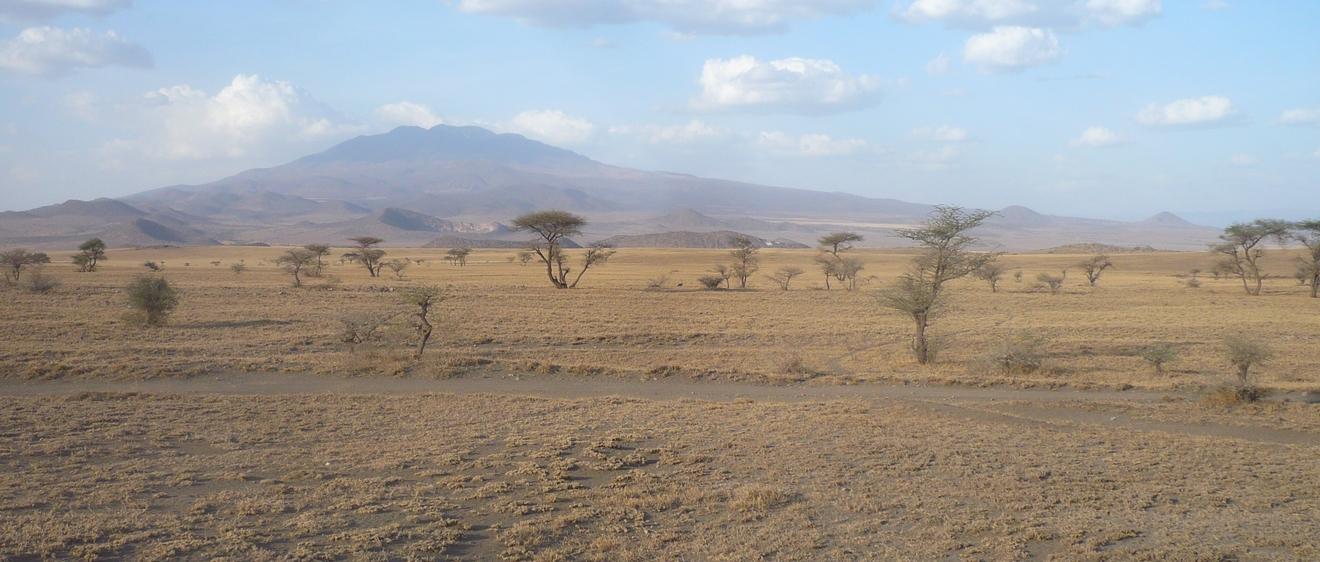 Quels parcs choisir en Tanzanie ?