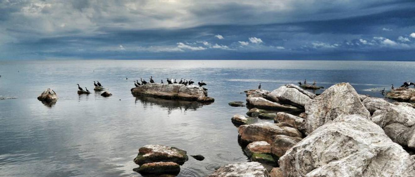 Rubondo Island : la Tanzanie hors des sentiers battus