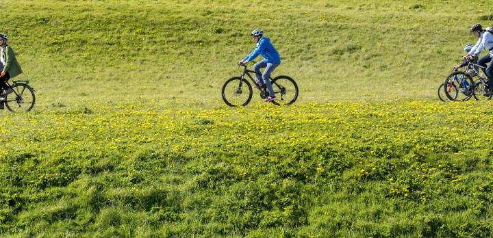 Escapade a vélo dans la région de Randstad