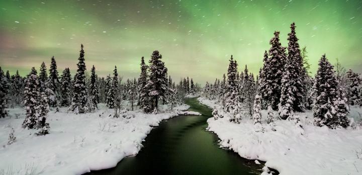 Suède en Hiver :  A la rencontre du Peuple Sami et  des Aurores Boréales