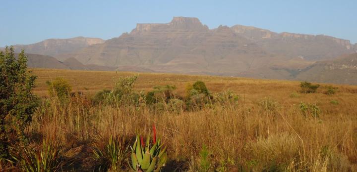 Randonnée libre dans les montagnes du Drakensberg, et safari dans le bush