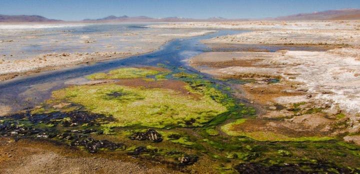 Découverte de la Bolivie : Andes, Altiplano et Amazonie