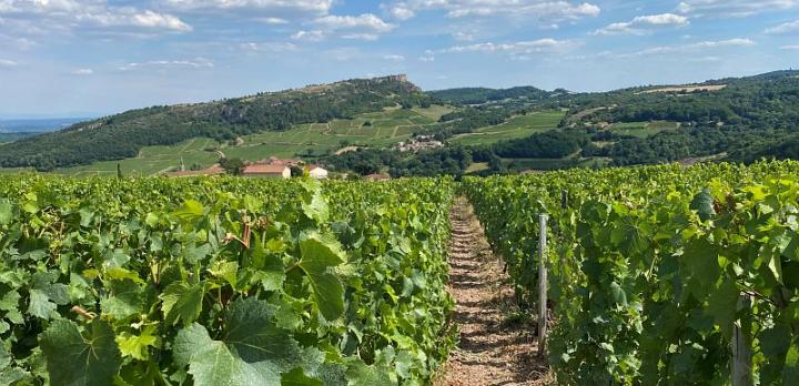 Du Beaujolais au Mâconnais, menez la vie de chateau sur la route des vins !