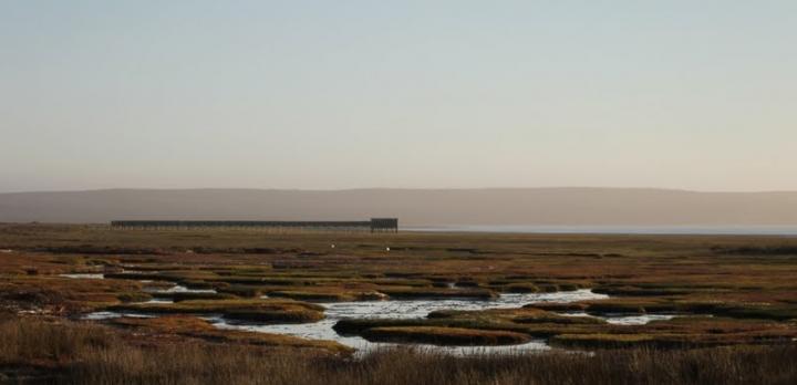Voyage hors sentiers battus en Afrique du Sud: Namaqualand et Kgalagadi