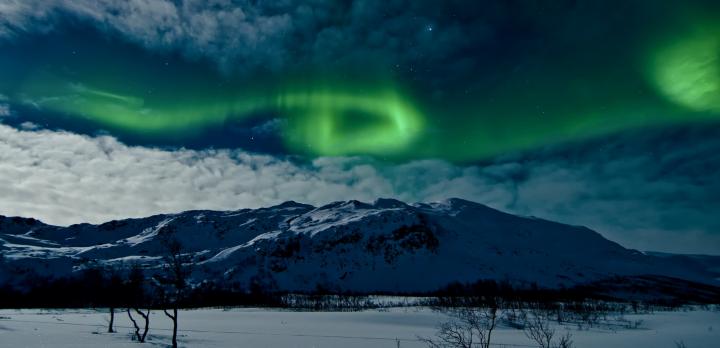 Aurores boréales et croisière hivernale dans la Norvège du Nord