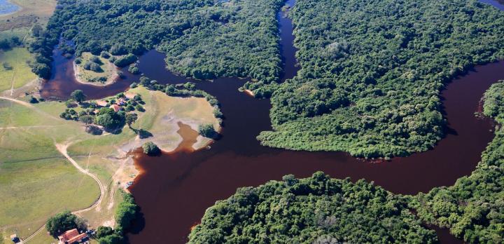 Immersion au coeur du Pantanal