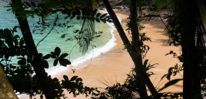 Découverte de Sao Tomé & Principe en deux semaines