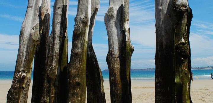 Voyage de la Normandie à la Bretagne: LE combiné nature et cultures