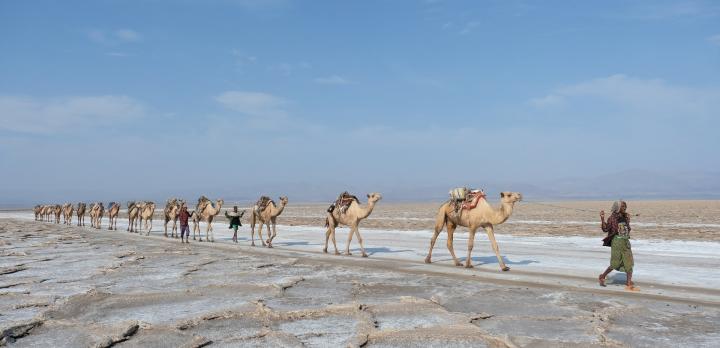 Voyage dans les Hauts Plateaux et excursion au Dallol