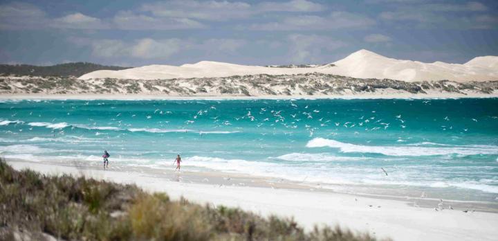 L'Australie en camping car : traversée de la Nullarbor d’Adelaide à Perth