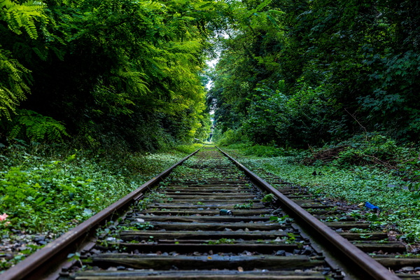 Et si on prenait le train ?