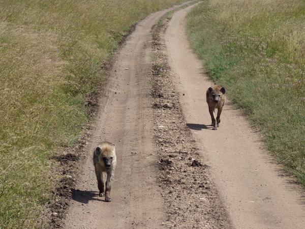 Parc Kruger