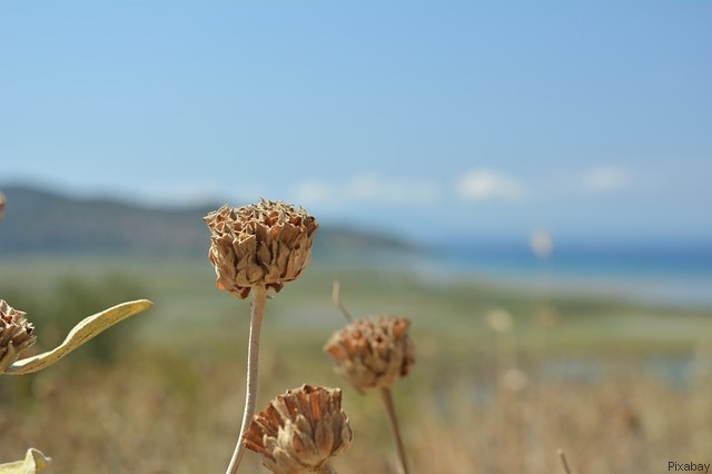 albanie blog - Loris Pampolini de Pixabay.jpg