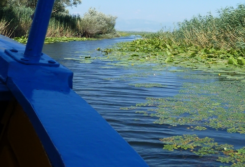 MONTENEGRO Lac de Skadar Svenja Chatelain 2.jpg