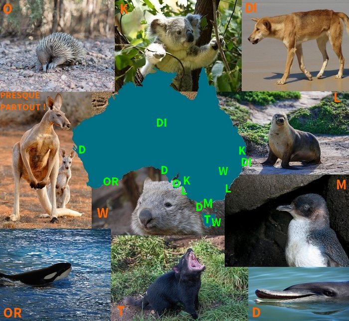 carte espèces animal australie.jpg