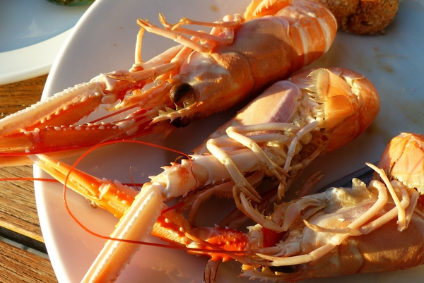 danemark îles homard - JanneG from Pixabay 600.jpg
