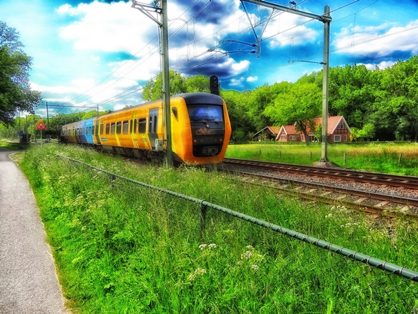 Pays Bas - David Mark from Pixabay 600.jpg