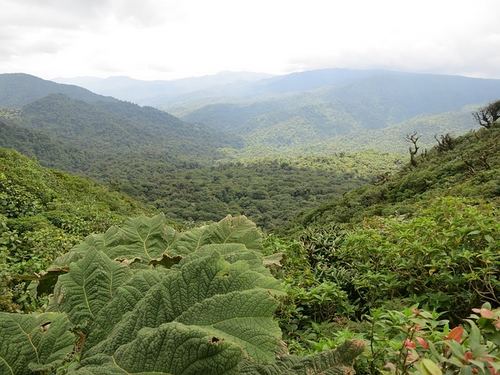 monteverde - JanBartel from Pixabay.jpg