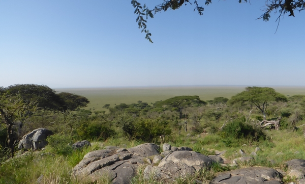 tanzanie serengeti paysages lise 600.jpg
