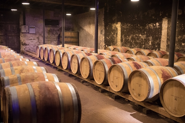 france beaujolais - D Mz de Pixabay.jpg