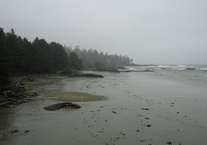 vancouver island plage stephanie taupin.JPG