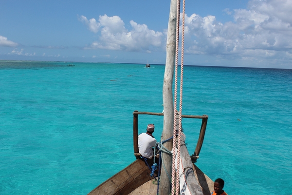 zanzibar-Jade G de Pixabay 600.jpg