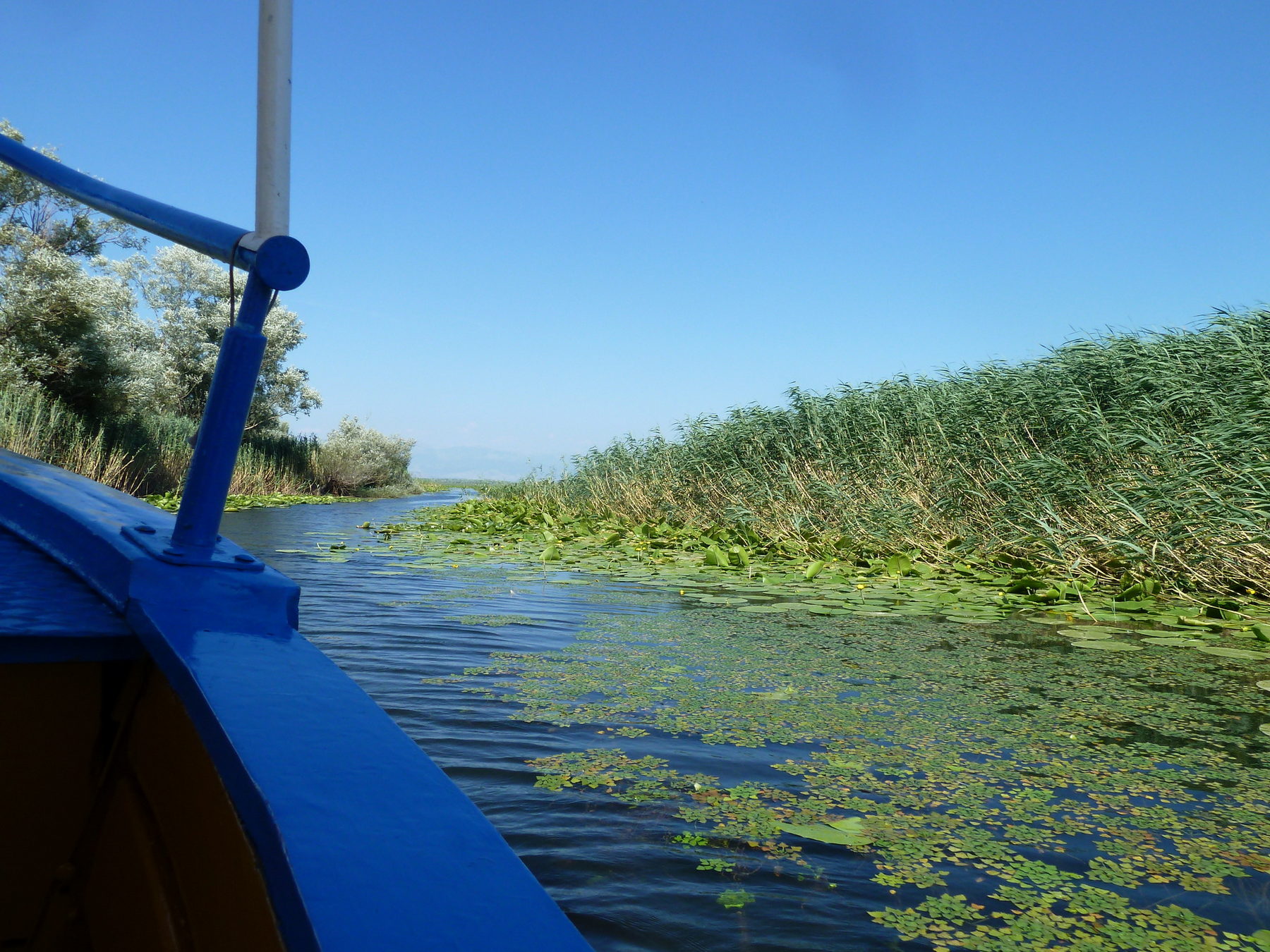 Croisière en barque Lac de Skadar