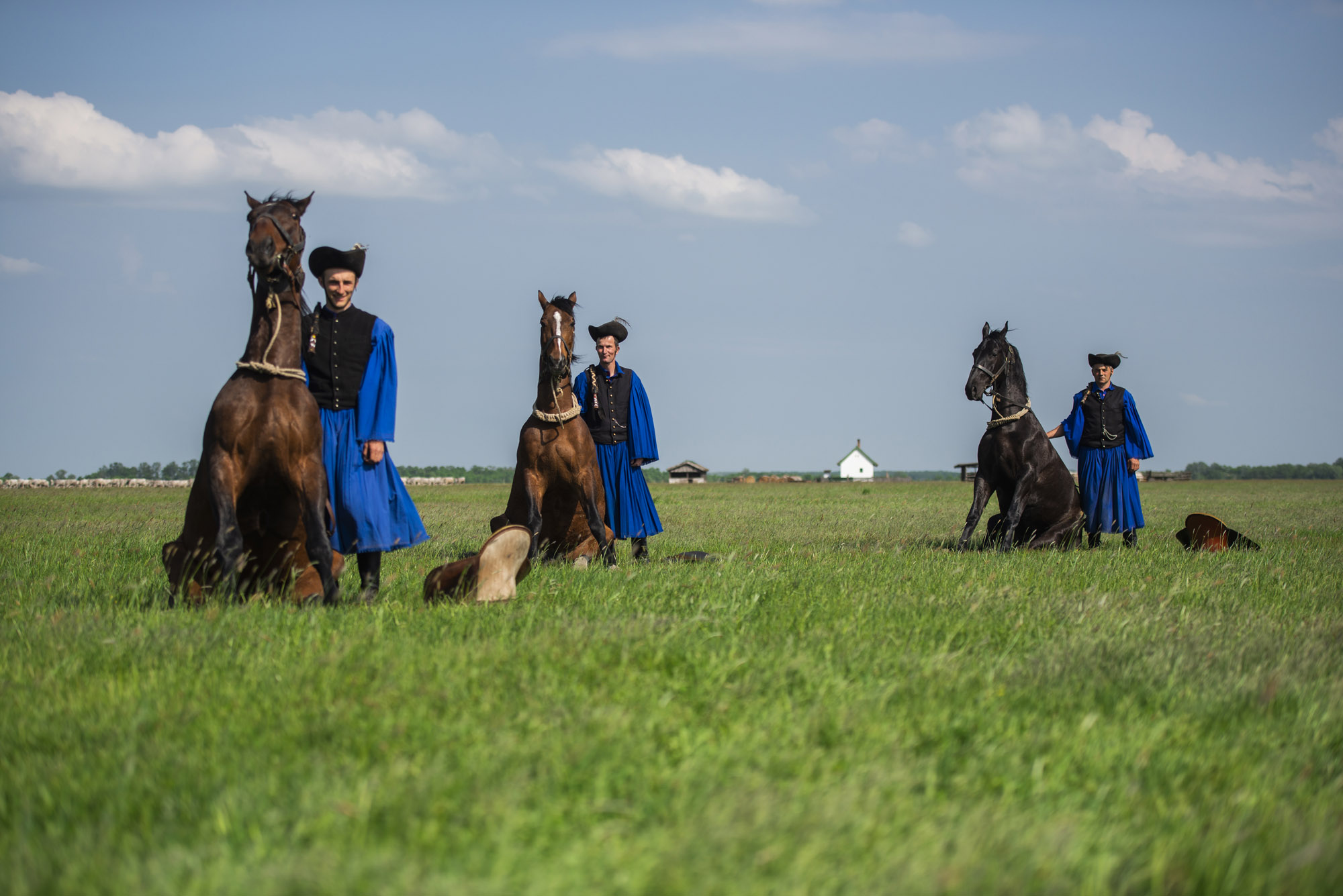 Haras traditionel et découverte de la Puszta.