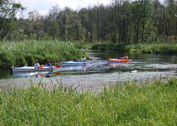 Kayak en Mazurie