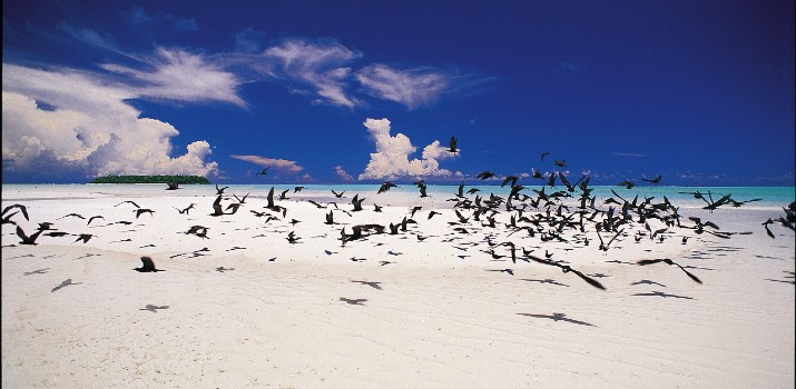 Papeete, Journée de croisière vers l'atoll de Tétiaroa