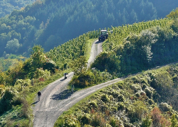 Conduite de tracteur vintage