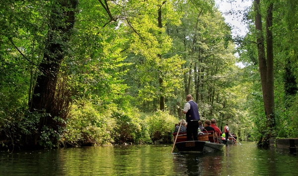 Navigation en pleine forêt à 1h de Berlin