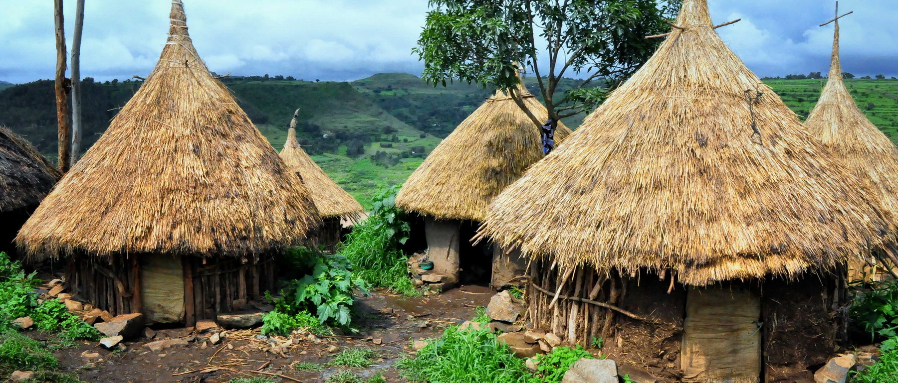 Trek dans le Parc National du Simien