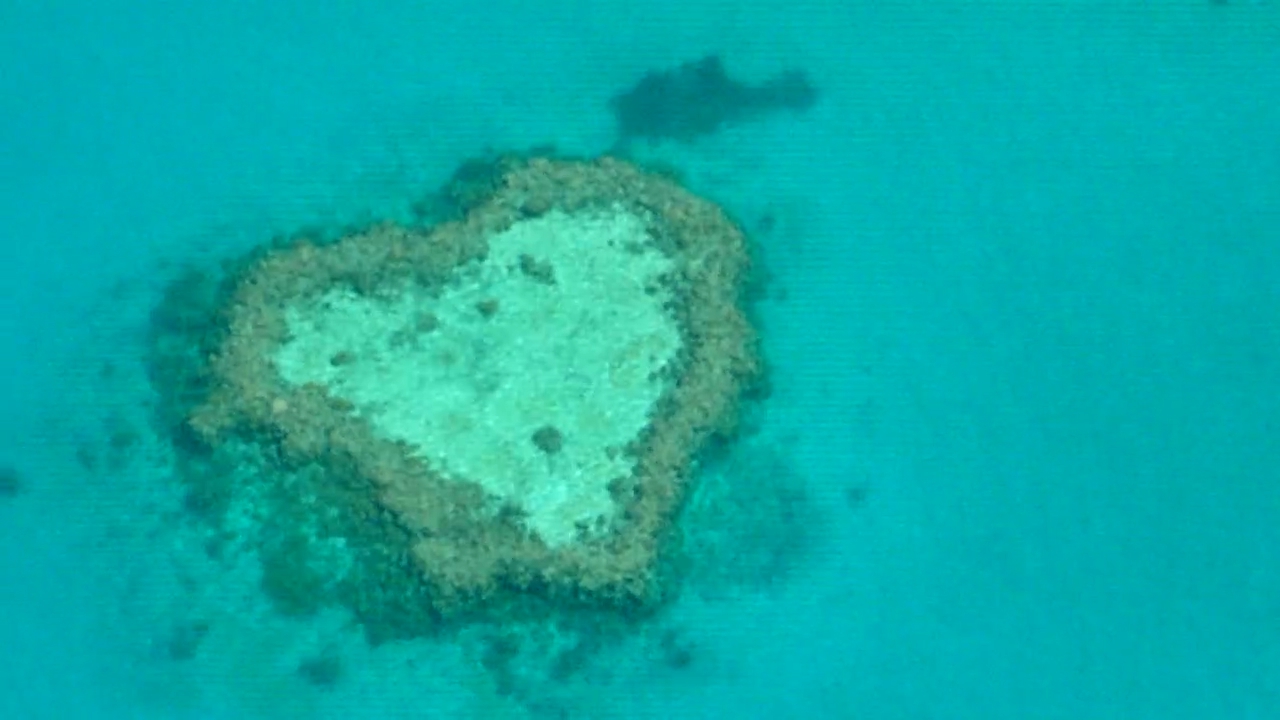 Survol de la Grande Barrière de Corail et Heart Reef en hydravion