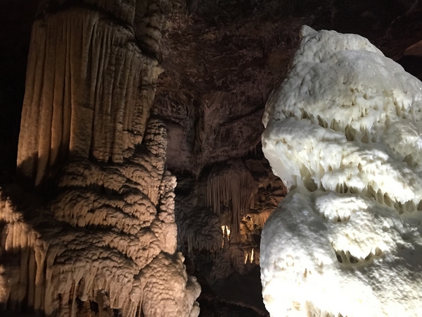 Grotte de Postojna