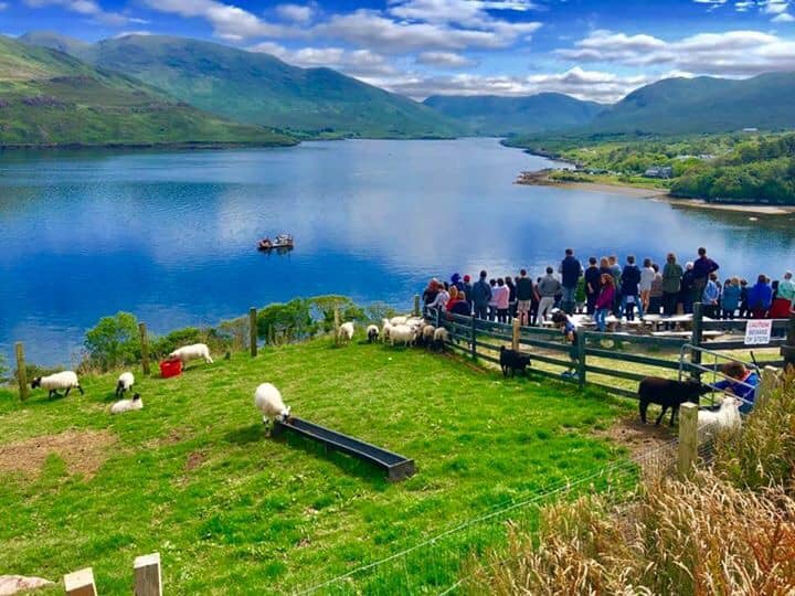 Activité dans une ferme typique irlandaise