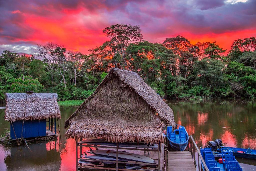 Découverte amazonienne