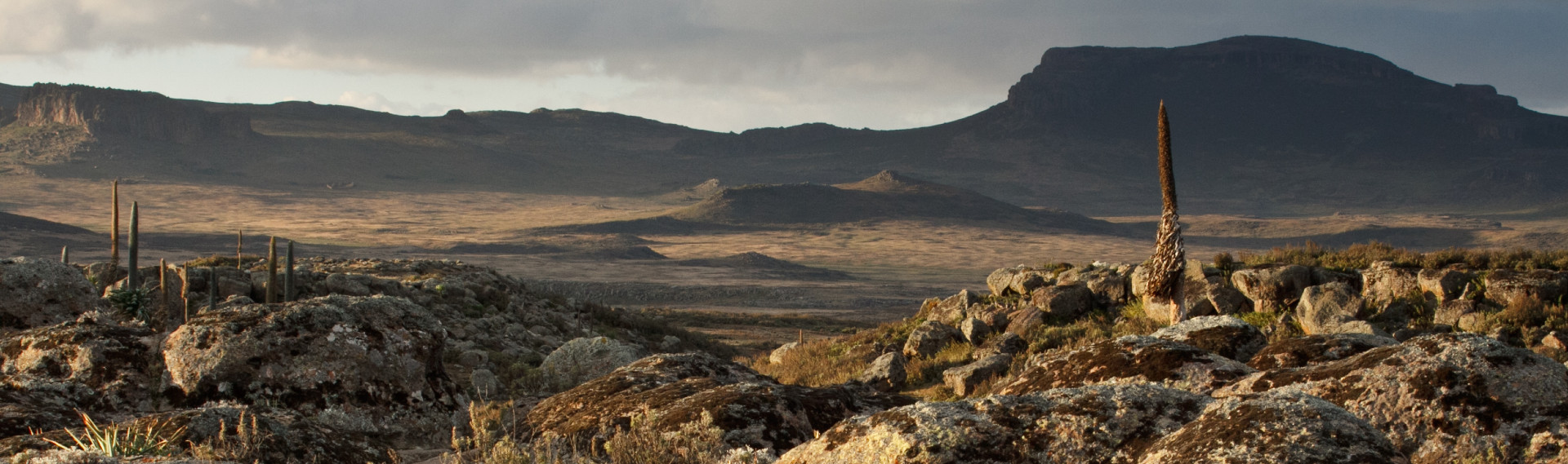 Marche dans les montagnes du Bale