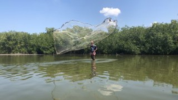 Pêche traditionnelle à la Boquilla
