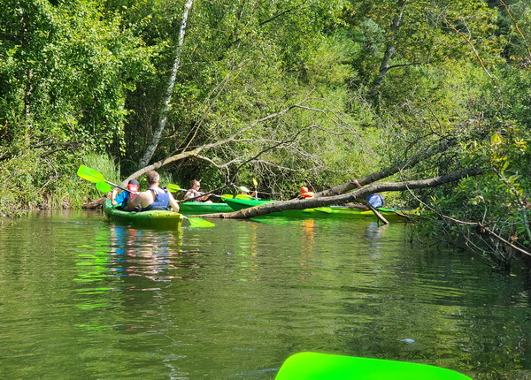 Journée de Kayak sur la Radunia