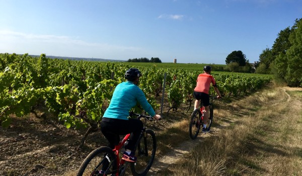 La Vallée du Layon en VTT