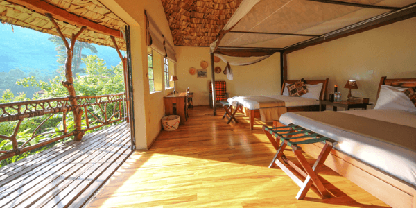 Lodge luxueux situé au nord de la forêt de Bwindi