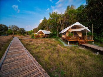 Ecolodge situé dans les monts Cardamon