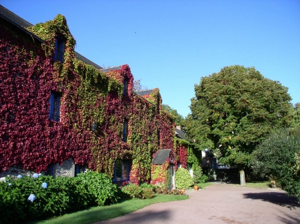 Magnifique manoir au cœur d'un parc de chênes centenaires