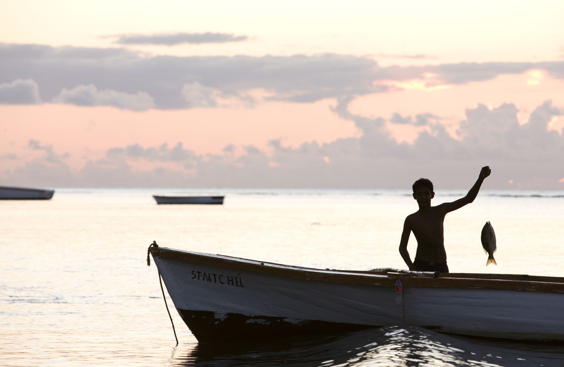 L'Ile Maurice en liberté