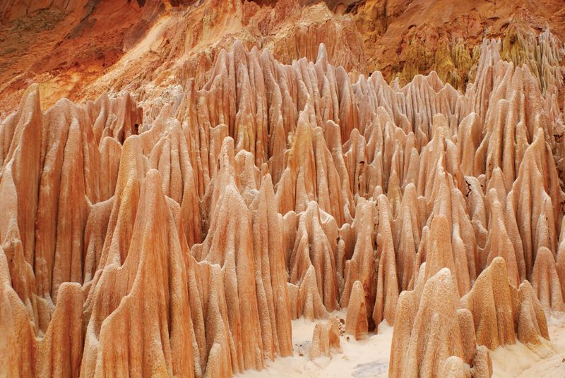 Le nord de Madagascar : La baie de Diego Suarez, Les Tsingy et Nosy Be