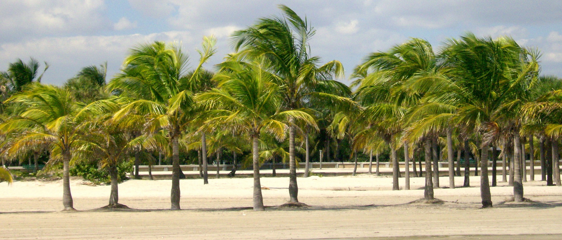 Evasion en famille en Floride