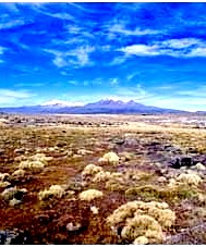 Sajama et Curahuara de Carangas