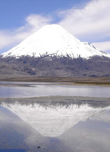 Forfait Putre - Parc Lauca